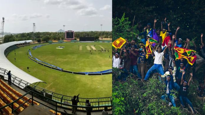 දඹුල්ලේ ගස් උඩ නැග මැච් බැලීම තහනම් කරයි-Climbing trees to watch matches banned in Dambulla