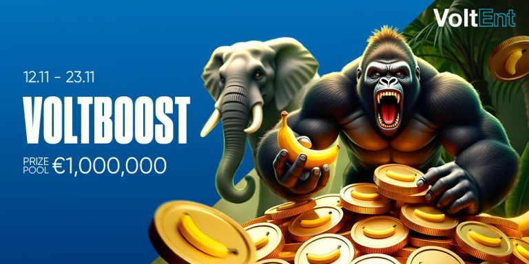 VOLTBOOST
